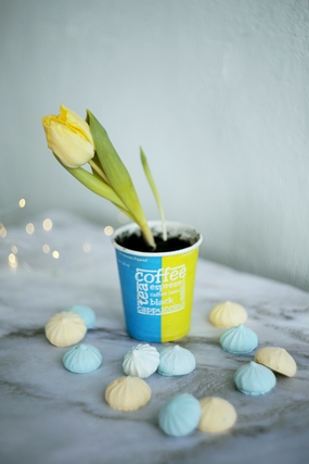 奶油饼干和郁金香盆栽图片